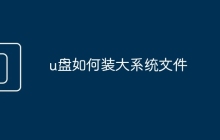 u盤如何裝大系統(tǒng)文件