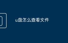 u盤(pán)怎么查看文件