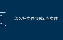 怎么把文件變成u盤(pán)文件