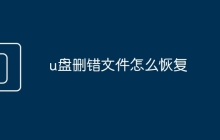 u盤(pán)刪錯(cuò)文件怎么恢復(fù)