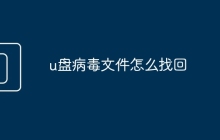 u盤病毒文件怎么找回
