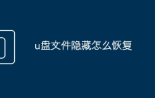 u盤文件隱藏怎么恢復(fù)