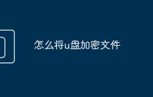 怎么將u盤加密文件
