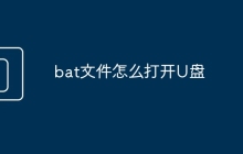 bat文件怎么打開U盤