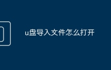 u盤導(dǎo)入文件怎么打開