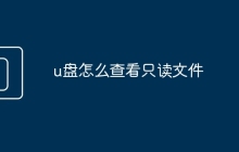 u盤(pán)怎么查看只讀文件