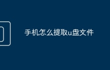 手機(jī)怎么提取u盤(pán)文件