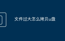 文件過(guò)大怎么拷貝u盤(pán)