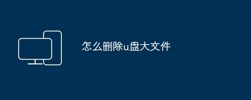 怎么删除u盘大文件