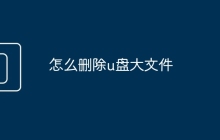怎么刪除u盤大文件