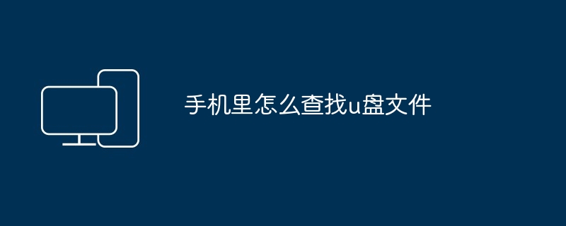 手机里怎么查找u盘文件