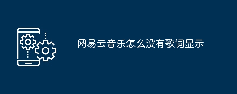 网易云音乐怎么没有歌词显示
