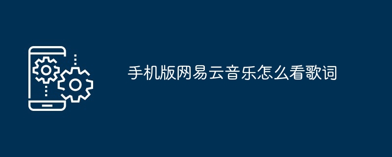 手机版网易云音乐怎么看歌词