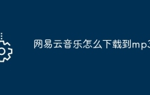 网易云音乐怎么下载到mp3上