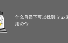 什么目录下可以找到linux常用命令