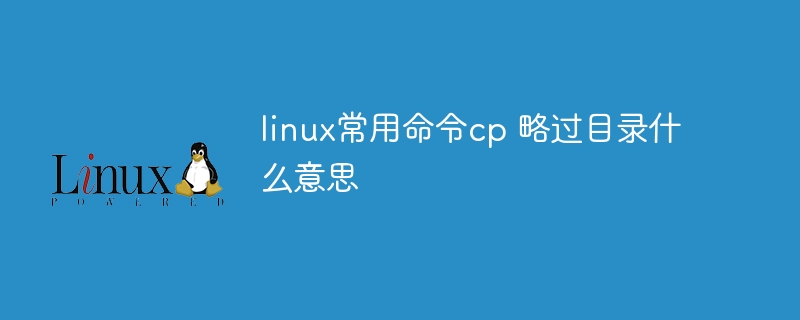 linux常用命令cp 略过目录什么意思 - 小浪云数据