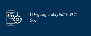 打开google play商店闪退怎么办