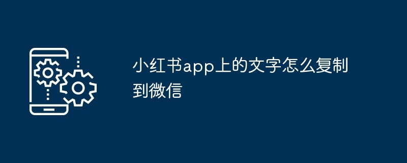 小红书app上的文字怎么复制到微信