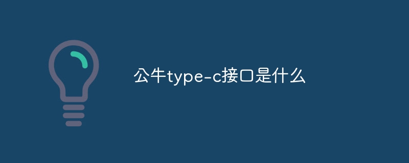 公牛type-c接口是什么