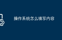 操作系统怎么填写内容