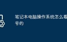 笔记本电脑操作系统怎么看型号的