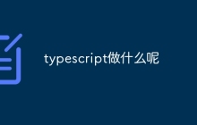 typescript做什么呢