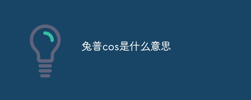 兔普cos是什么意思