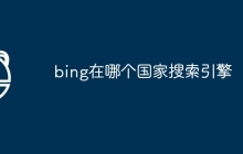 bing在哪个国家搜索引擎