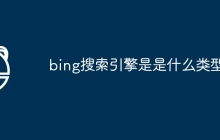 bing搜索引擎是是什么类型