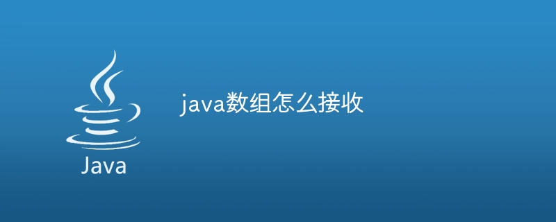 java数组怎么接收