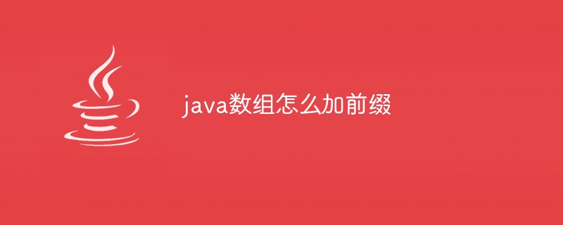 java数组怎么加前缀