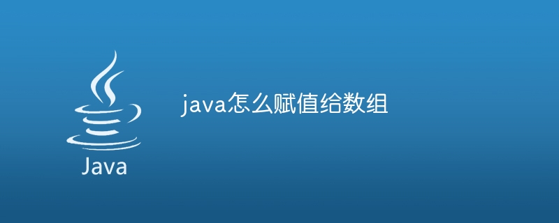 java怎么赋值给数组-小浪资源网