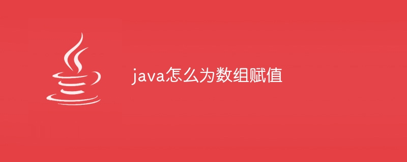 java怎么为数组赋值-小浪资源网