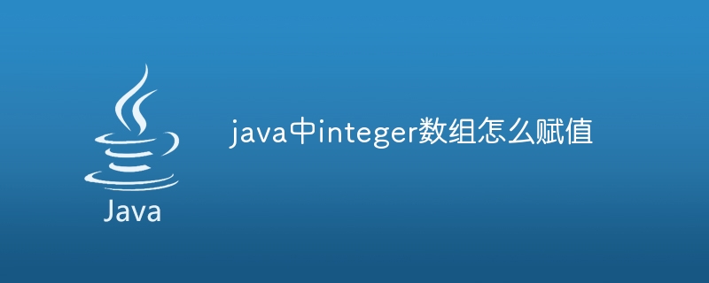 java中integer数组怎么赋值-小浪资源网