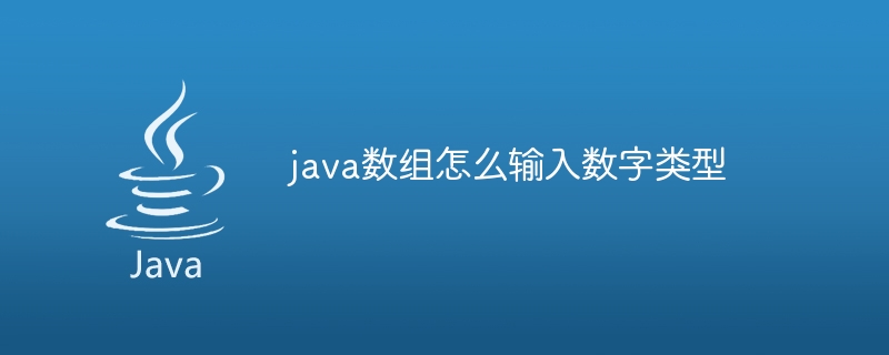 java数组怎么输入数字类型-小浪资源网