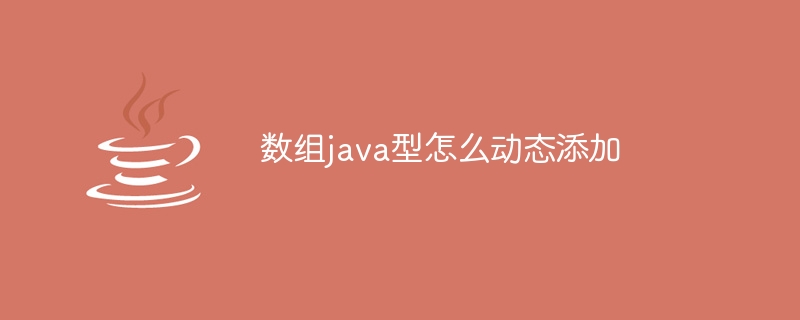 数组java型怎么动态添加-小浪资源网