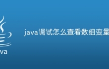 java调试怎么查看数组变量