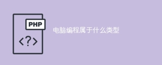 电脑编程属于什么类型