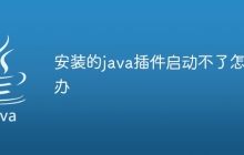安装的java插件启动不了怎么办
