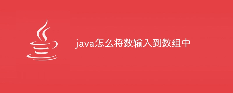 java怎么将数输入到数组中-小浪资源网