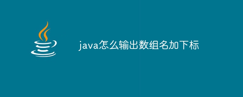 java怎么输出数组名加下标-小浪资源网