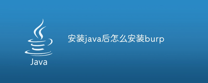 安装java后怎么安装burp