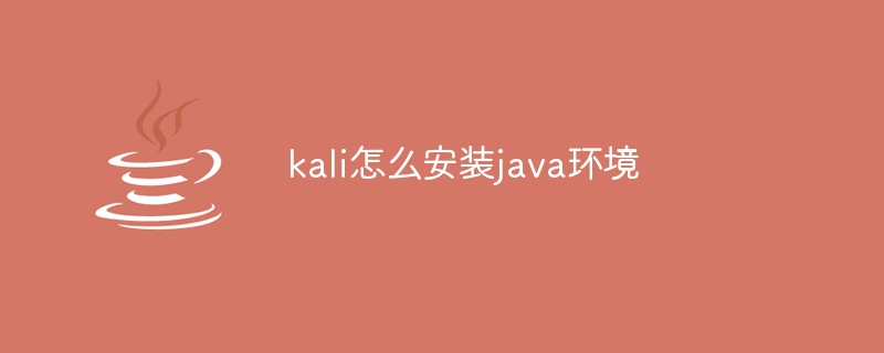 kali怎么安装java环境