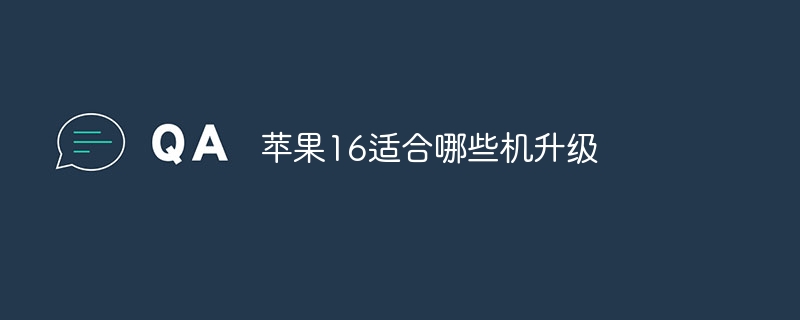 蘋果16適合哪些機升級 - 小浪云數據