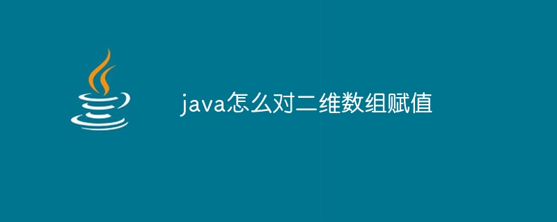 java怎么对二维数组赋值