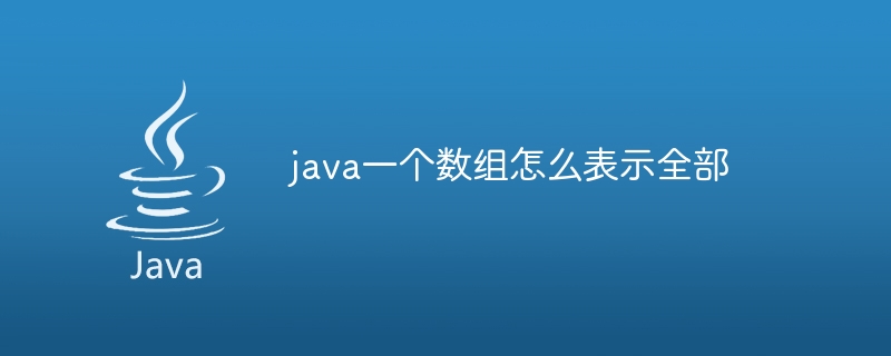 java一个数组怎么表示全部