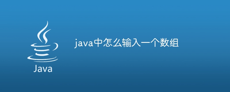java中怎么输入一个数组