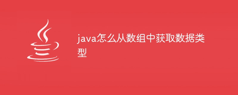 java怎么从数组中获取数据类型