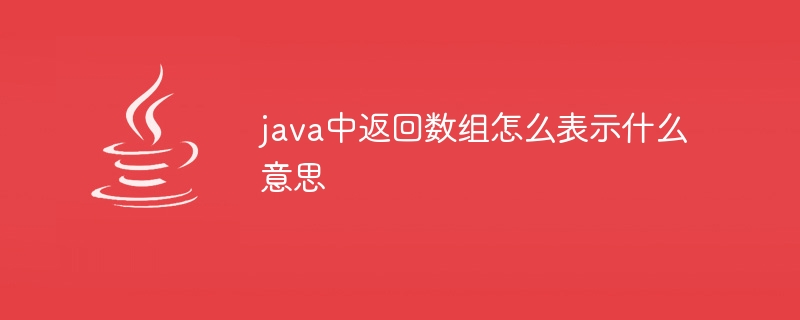 java中返回数组怎么表示什么意思