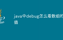 java中debug怎么看数组的值
